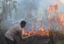 Kapolres Bartim Ikut Padamkan Dua Titik Api Karhutla 