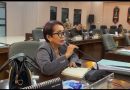 Reni Sugiarti Dengarkan Masukan Masyarakat Desa Pulau Patai Dalam Reses