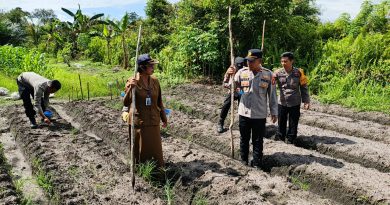 Dukung Swasembada Pangan, Polsek Benua Lima Tanam Jagung Pakan