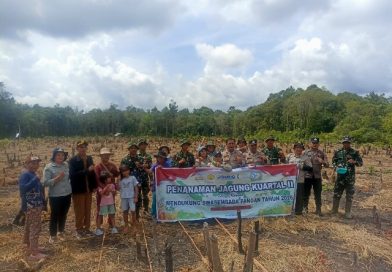 Dukung Swasembada Pangan, Polsek Dusun Timur Gelar Penanaman Jagung Kuartal II di Desa Murutuwu