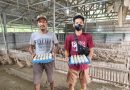Produksi Ratusan Telur Bebek Di BUMDes Matabu, Kades Dorong Dukungan Pemda