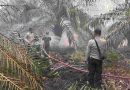 Kapolsek Dusun Timur Turun Langsung, TNI-Polri dan Warga Padamkan Kebakaran Lahan Seluas Dua Hektare