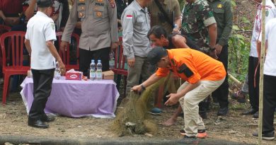 Panen Perdana Ikan Nila, Bupati Yamin Dorong BUMDes Unru Nyingkai Jadi Penggerak Ekonomi Desa